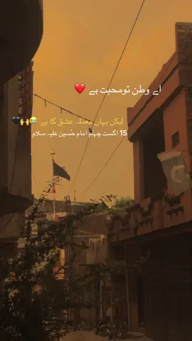 سب سے التماس ہے کہ 14 اگست کا بائی کاٹ کیا جائے اُس دن چہلم امام حُسین علیہ سلام ہے 😭😭🚩🙌❤️#fyp #unfreezemyacount #dontunderreviewmyvideo #viral #10mohram ##karbala 