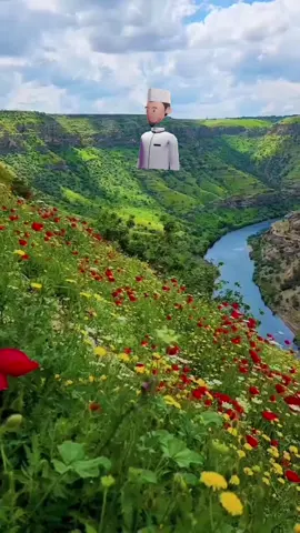 #islamic_video #Sunset #allah #urdu #fypシ #islamic_media #Green #🖤🖤 #foryou 