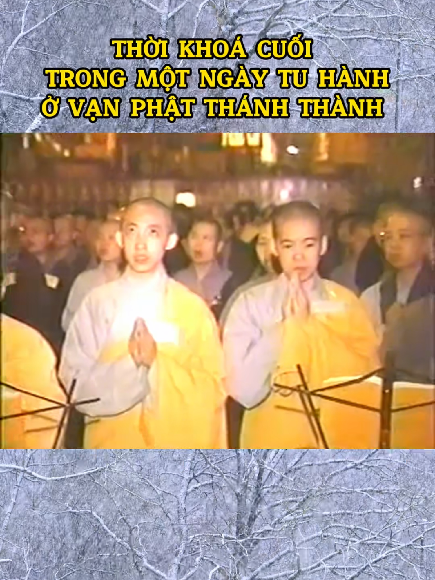Một ngày tu hành tại Vạn Phật Thánh Thành #vanphatthanhthanh #motngaytuhanh #tuhanh #phapgioichungsanh #cauvangsanh #causanhtayphuong #congducniemphat #xuhuong #diettruaiduc8