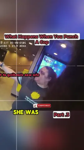 What Happens When You Punch a Cop. Part 3 #fyp #police #cops #bodycam 