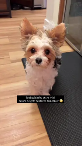 he was just being his happy little self 🥹