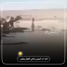 #تصميم_فيديوهات #شيكوFM 