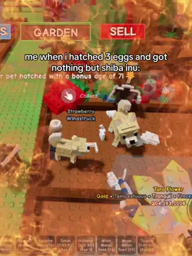 not even a single kappa…. muwak kali la ☺️☺️☺️☺️☺️☺️☺️ #growagarden🥒🌶🍅 #gag #shibainu #kitsune #kappa #roblok #robloktok #robloxfyp #tranquilevent #CapCut #MemeCut   