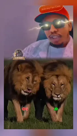 ogadeen io jidwaaq ayuu iskudiray mustafe Down  #jidwaaq #ogadenia #somaligalbeed🇬🇶❤️✅ #jigjiga_somali_galbeed #dds 