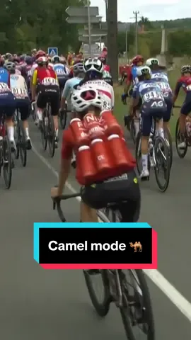 Full camel mode at the Tour de France Femmes avec Zwift 🐫 #cycling #roadcycling #TDFF2025