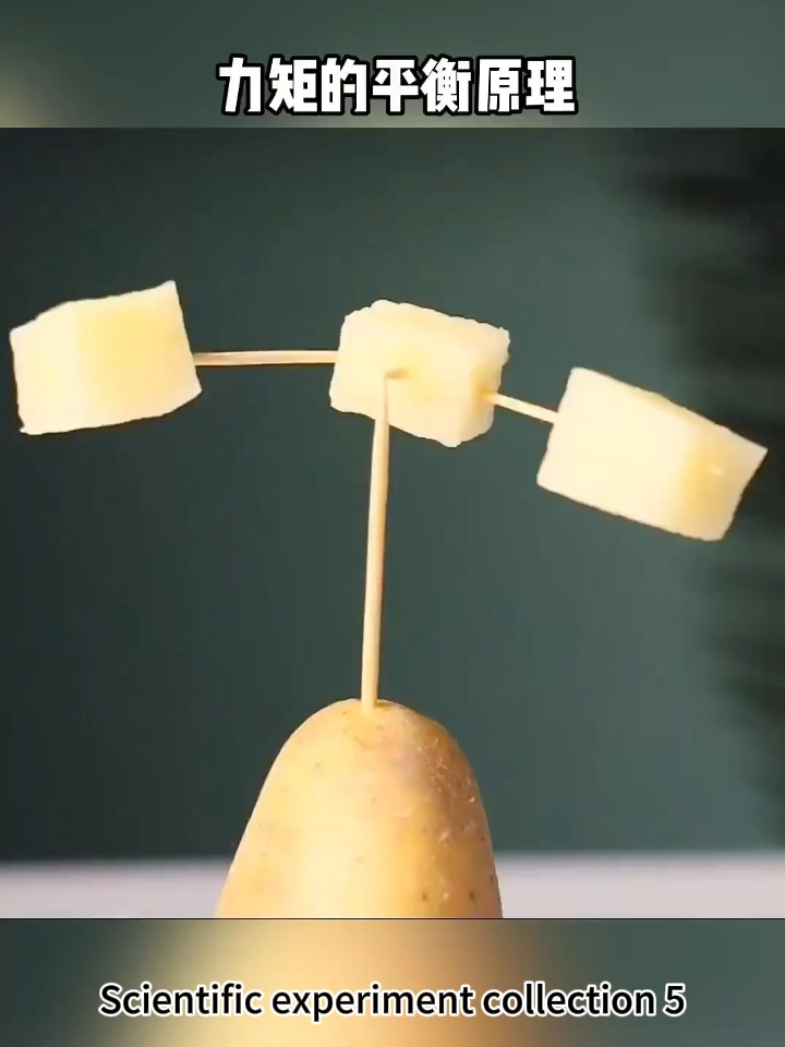 Scientific experiment collection 5 #education #experiment #physics #scienceismagic #science