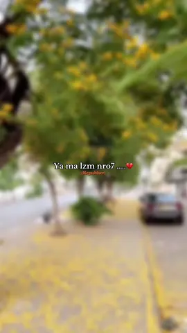 #شعب_الصيني_ماله_حل😂😂 #fypシ゚ #fupシ #chebmirou 
