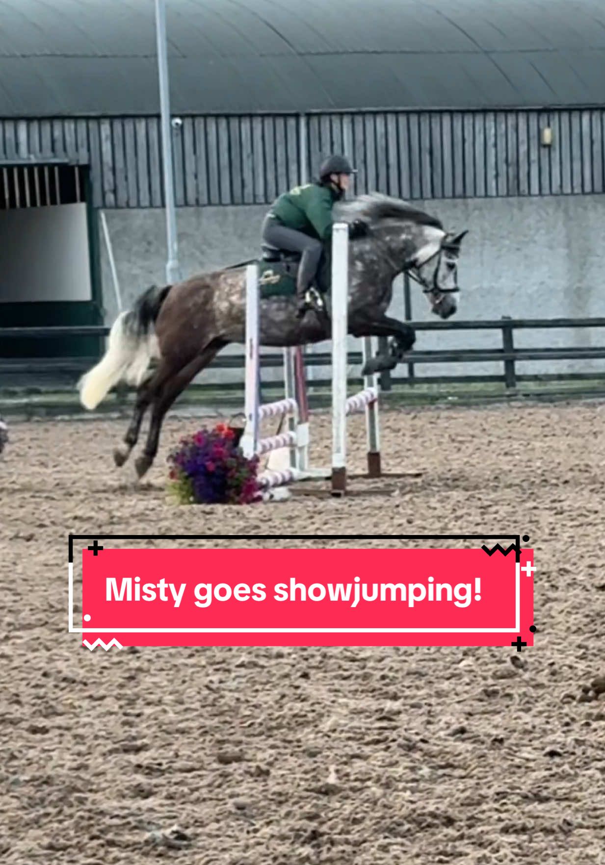 Definitely was not expecting that🙈 #horsetok #horseriding #equestrian #horsesoftiktok #fyp 