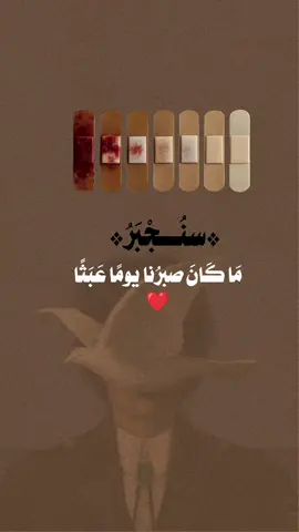 #سنُجْبَرُ مَا كَانَ صبرُنا يومًا عَبَثًا ❤️❤️‍🩹