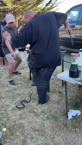 Camping prank 2025 😂🍻 #prank #prankvideo #camping #campinglife #fyp #f #foryoupage #sansimeon #snake #nature 