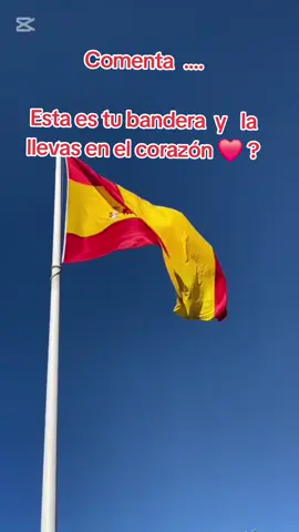 #españa #bandera 