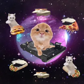 yayayayay!! 🪐🐱 #cat #viral #catlover #catsoftiktok #jollytok #kittycat #lovecats #memecat #cattok #sillycat #galaxycats 