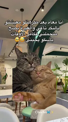 حبيبي أنت ❤️💍🥹