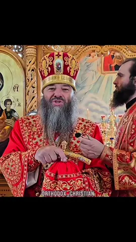 Mitropolitul Longhin  Niciodată să nu vă învățați să spuneți lumii ce ai pe suflet greu ! #shorts #orthodox #god #christianity 