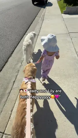 Olivia thinks she’s a dog 🐶👧🏻🐶 #toddler #kidsanddogs #sisters #dogsoftiktok 