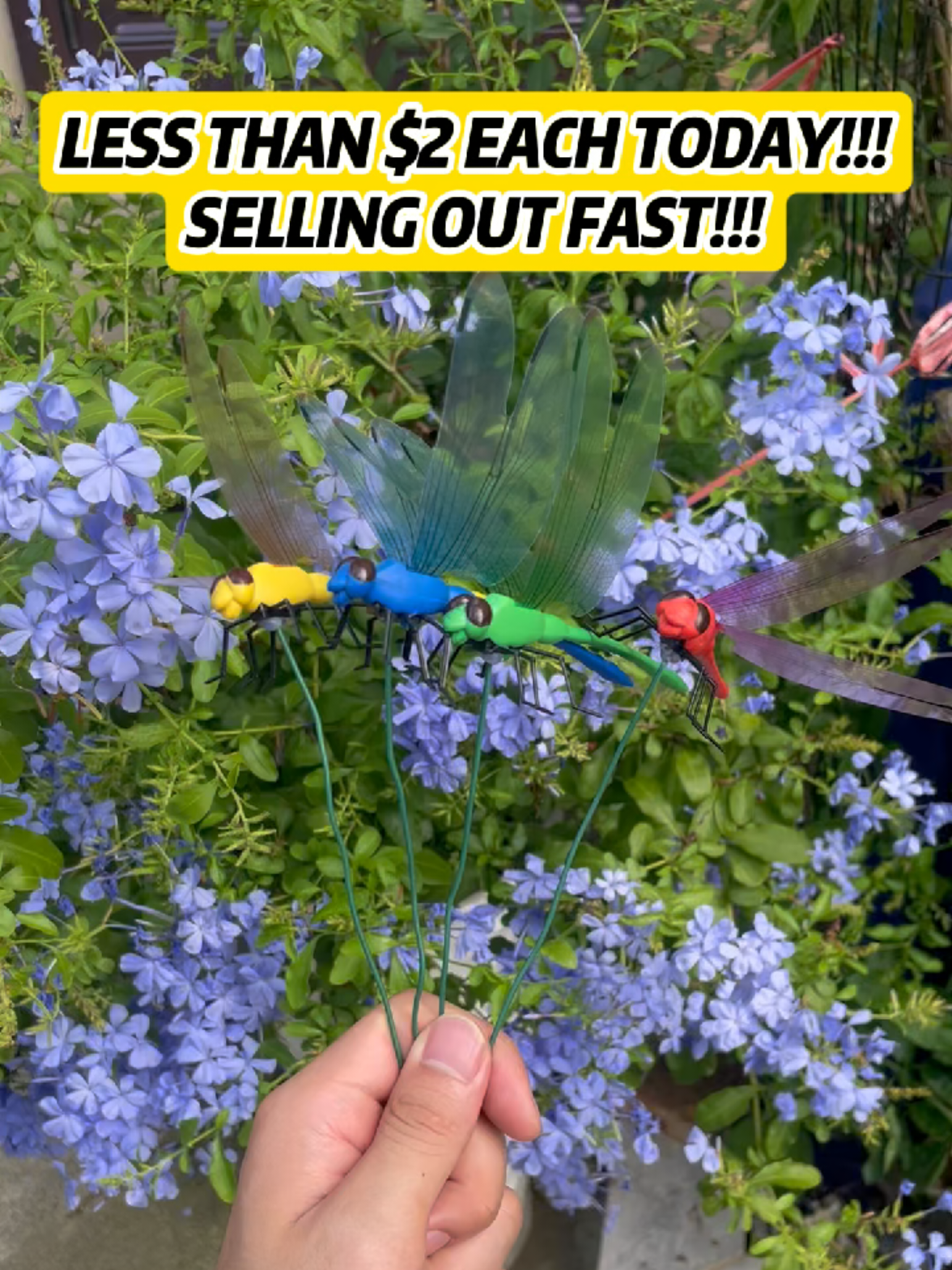 @StrideWild  these#dragonfly clips are insane！I still can't believe#itworked Dragonfly Clip,3D Dragonfly Garden Stakes Decor,Fly Deterrent,Dragonfly Humming Bird Stakes,Deer and Horse Fly Deterrent,Garden Bird and Fly Scare Devices for Indoor Outdoor Garden#freeshipping #Outdoors #gardening #Summer #mosquito