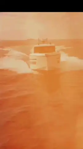 Dame Un Grrr ♪ boats powered by YANMAR edition! #fyp #boat #trend