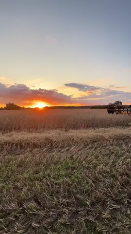 🌾🌾 @mikoajstanek0  #newholland #zniwa2022🌾start #dc #fyp #rolnik #foryou #likе #zachodsłońca #kabajn
