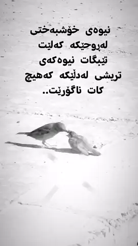 #لایکو_کۆمێنت_فۆڵۆلەبیر_مەکەن #خەمێک😌دەروا😞خەمێکی😟تردەبێتە😕میوانمـــم #پۆستەکانم_بۆخۆشیە 