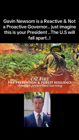 Gavin Newsom.. A Reactive Governor that needs to be scolded by President Trump to do controlled burn ..🔥🤣🤣🤣