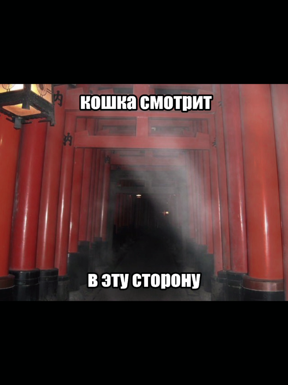 #японскаяпесня #япония #вкей #щитпост #ijigentougekou #senketsuakochan #senketsuhiro #vkei 