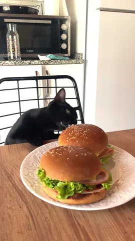 Burger time 🍔