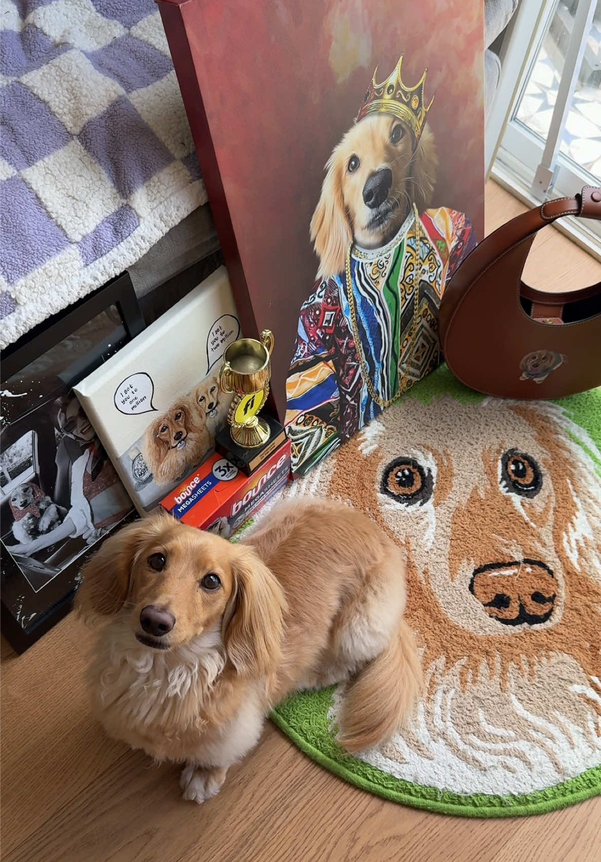 Welcome to Winston's world... Shrines. Strollers. Sage-cleansed floors. And only the finest air-dried cuisine from @Sundays for Dogs code 