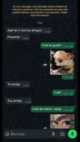 TAN YO JAJAJAJAJ 