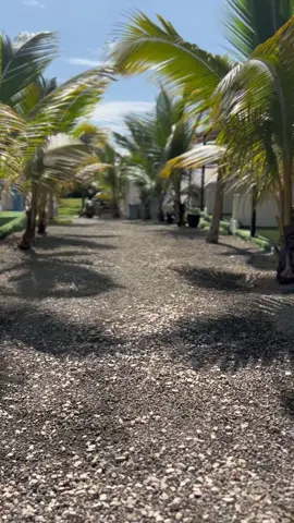 Tropicoco❤️