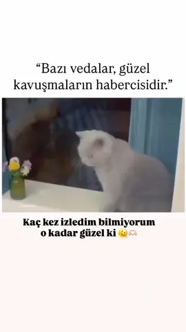 #trending #seniniçin #kesfet #viral #fyp 