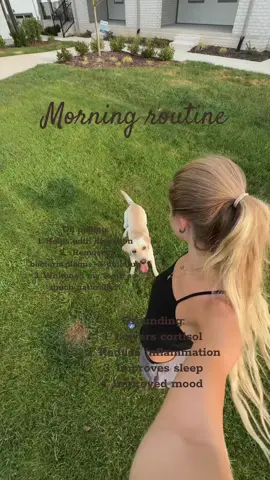 Touch grass yall #fyp #morningroutine #grounding #nontoxic 