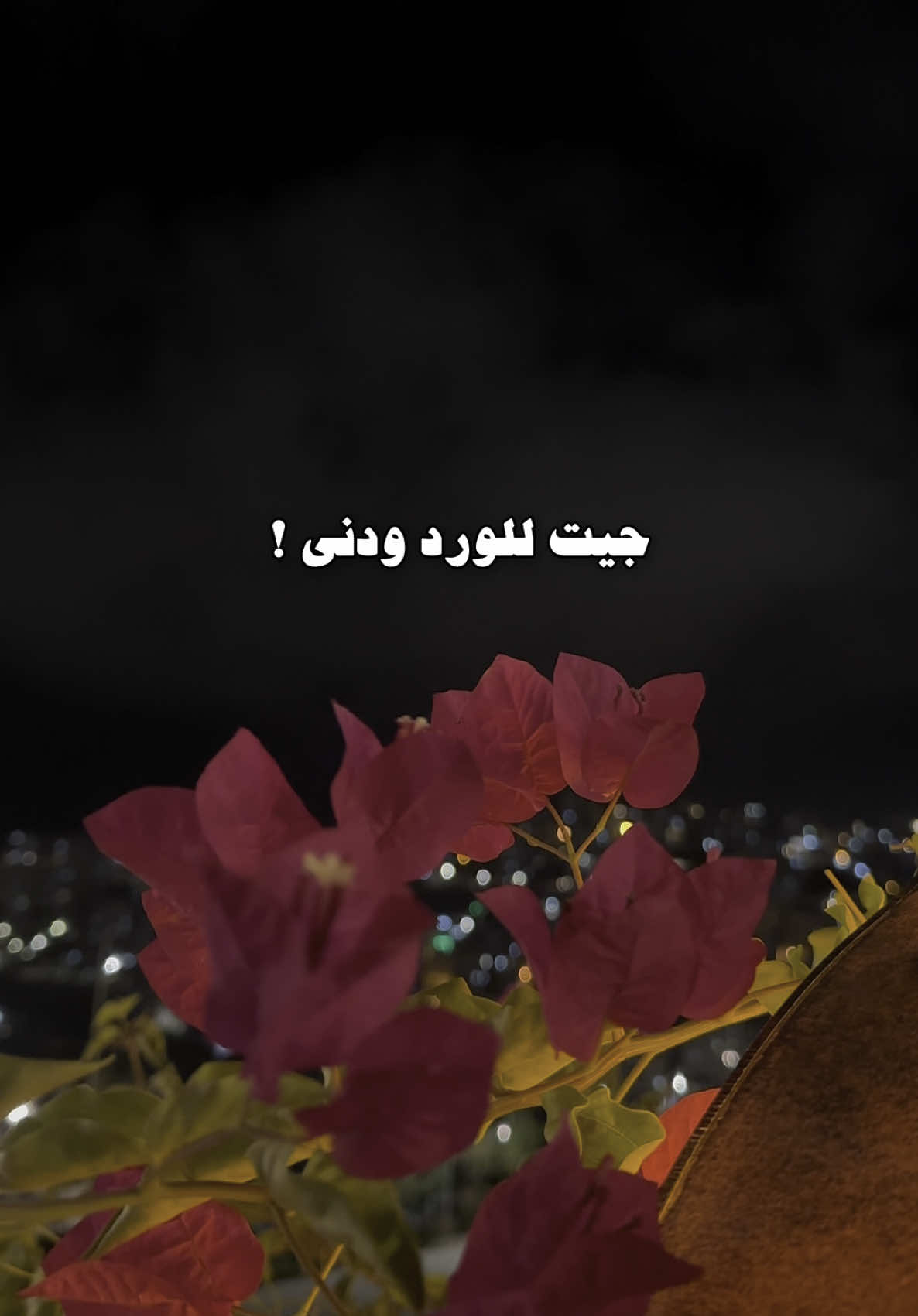 جيت للورد ودنى♥️#تصاميم_صلوح🧑‍🦯 #explore #تصويري #تصويري #نادر_الشراري 