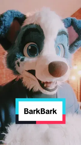 I always forget that the gender neutral version of good boy can be “good floof” lol #furry #furryfandom #littlealphapup #MentalHealth #cptsd 