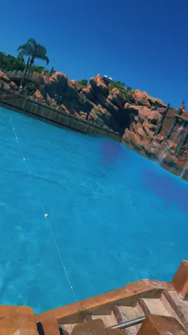 #typhoonlagoon #for #florida 