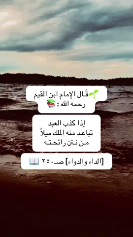 #أبلغكم #السعودية🇸🇦 #المدينة_المنورة 