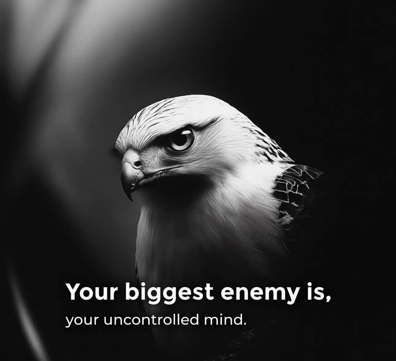 #inspirational #fyp #viral #trending #motivational #foryou #foryourepage #motivationalvideo #toryoupage