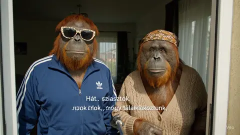 Levi ilyen rossz volt ezt nem is tudtam…. 🦧 #SanyiMondta #magyar #LeviMegASör #magyar #fyp #googleveo3 #fyppppppppppppppppppppppp #ai #veo3 #leviazorangutan #sanyiazorangutan 