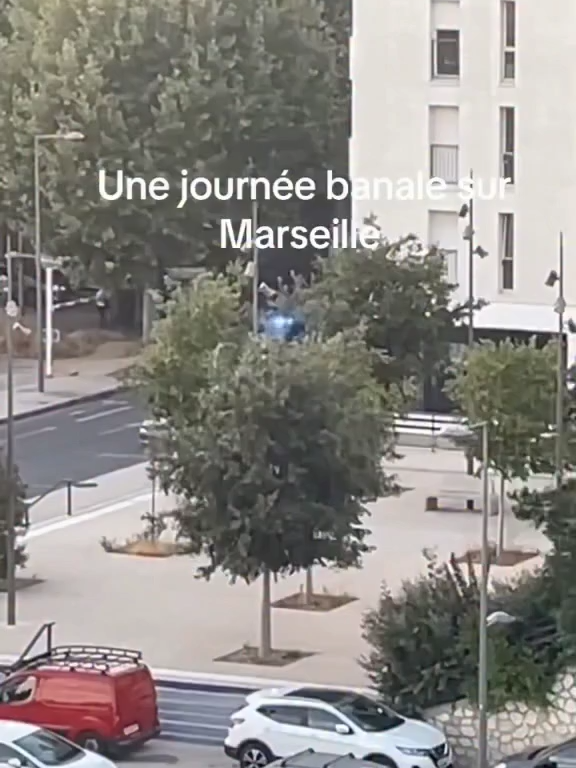 #tiktokfrance #foryouu #pourtoii #pourtoi #policenationale #bardella