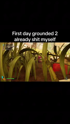 #grounded2 #grounded #fyp 