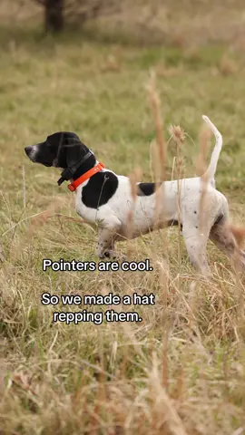 Man’s best friend #americanfetcher #gspsoftiktok #gsps #englishpointer 