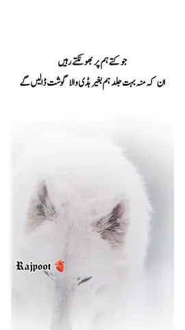 #راجپوت_محکمہ👑🦁🔥 #growmyaccount #respostaemvideo #repost #rajaittfaq99 