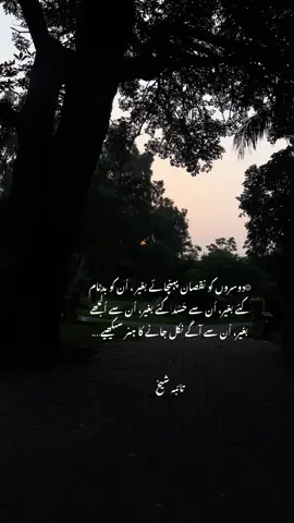 ☺︎دوسروں کو نقصان پہنچائے بغیر ، اُن کو بدنام کئے بغیر، اُن سے حَسَد کئے بغیر، اُن سے اُلجھے بغیر، اُن سے آگے نکل جانے کا ہنر سیکھیے تائبہ شیخ#taibasheikh #trending #fyp #imrankhan 