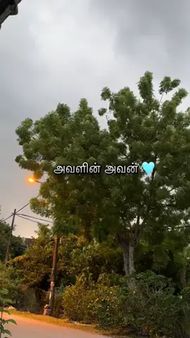 #MemeCut #fyp #fyppppppppppppppppppppppp #affiliatemarketing #foryou #tiktokmalaysia #fypシ #fypageシ #fypageシ #foryoupage #affliatetiktok #affliate #newbietiktok 