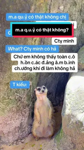 Đúng nhận sai cãi hộ #GreenCreator #VinWonders #WonderSummer2025 #dulich #safari #animals #animal 