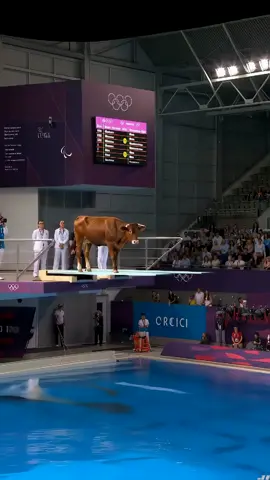 what the best cow? #olimpiadas #ai #cow 