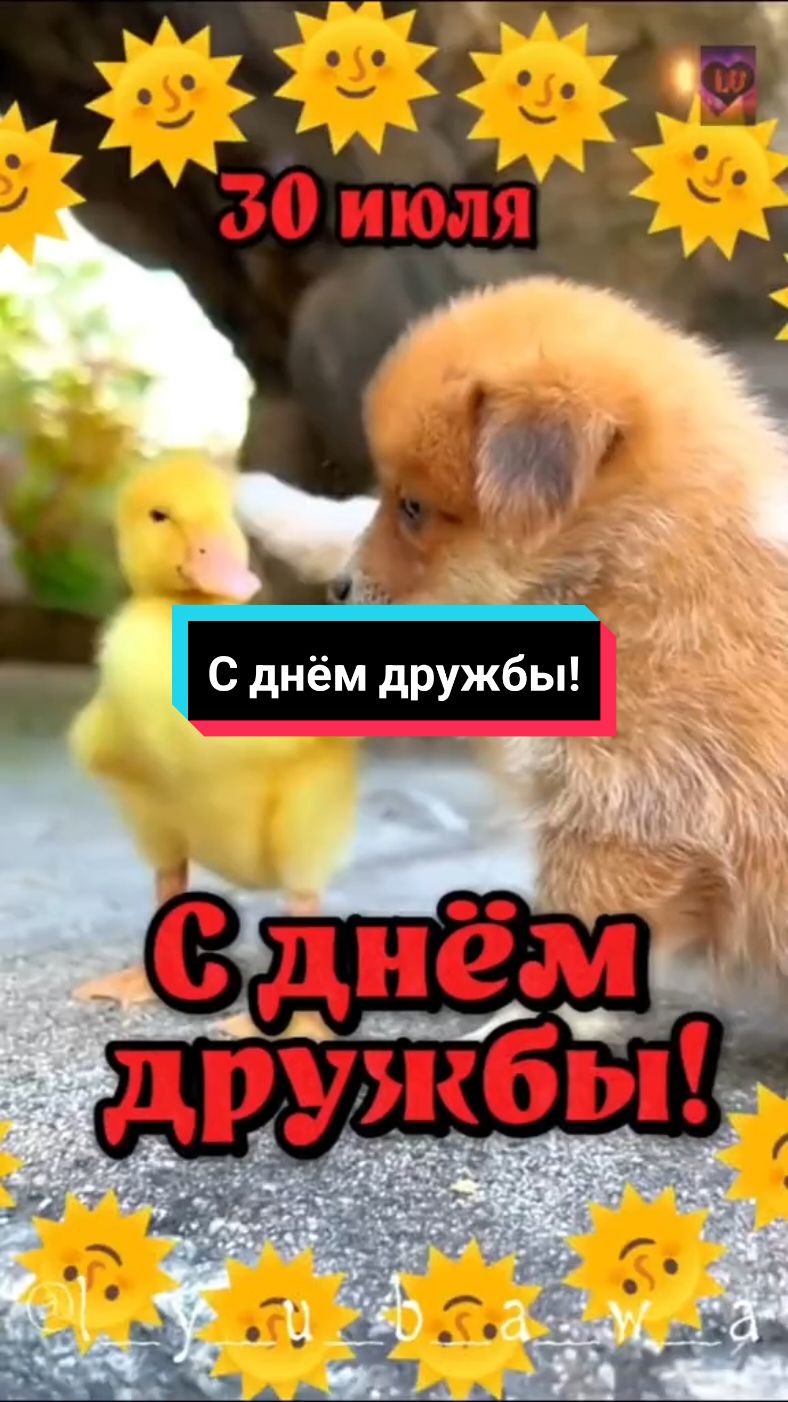 #30июля #сднемдружбы #деньдружбы #друзьям  #ВэтотДень #поздравляю #пожеланиядрузьям #лучшее #милоевидео #l_y_u_b_a_w_a #врекомендации #втоп 