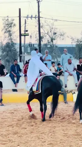 #عقد النبع الصافي قماطه 🥇🫡#نادينا_ويعز_علينا🔥 #الرايس حمد الكبير 🔥🫡#قماطه_الكبيدة🥰✊ #مصراته #افراح ال السمو 