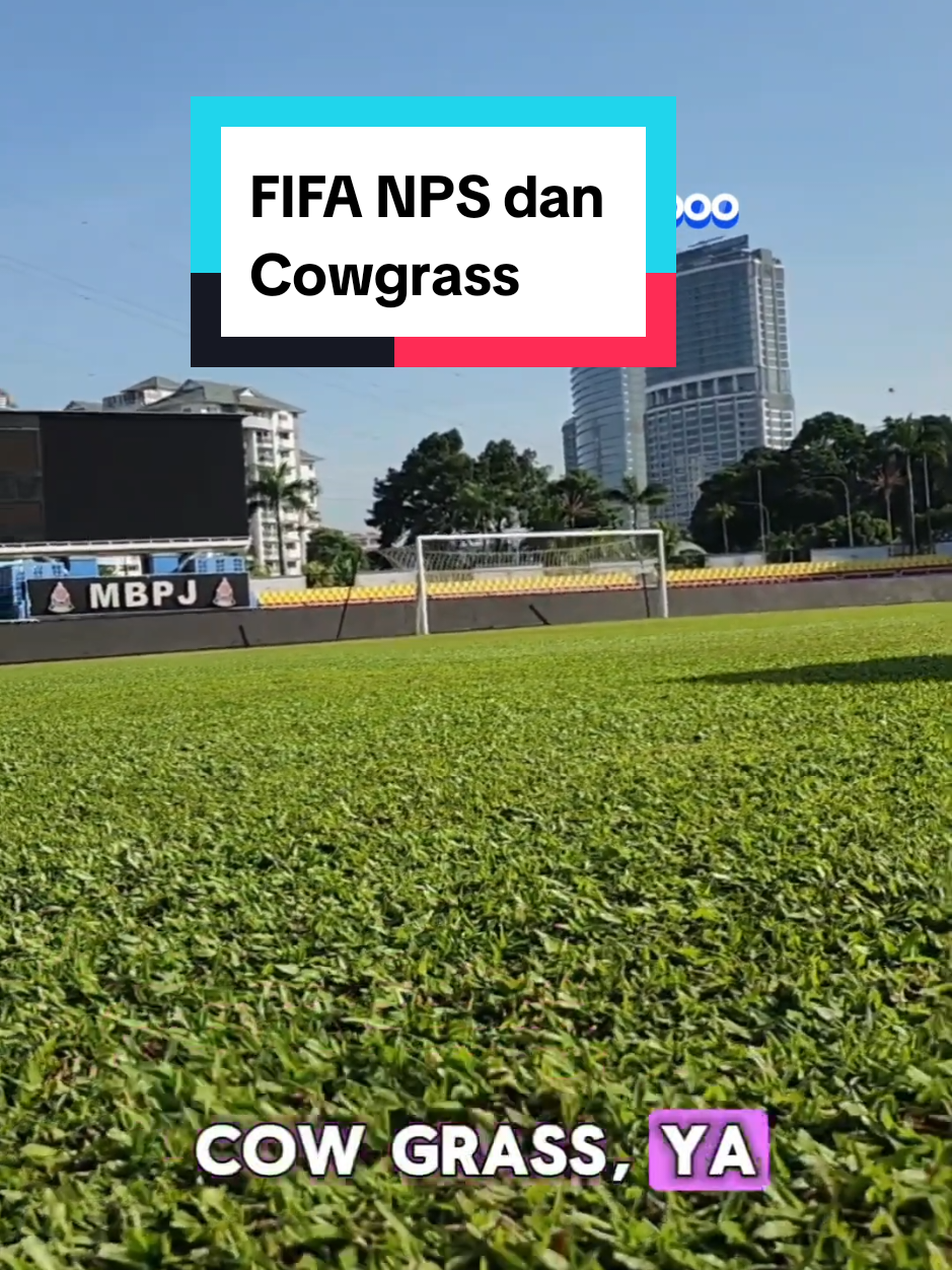 Kita tanya Ned sekali lagi dalam Bahagian 5 temuduga ini, tentang kesesuaian Cowgrass dalam FIFA NPS.  #mflmalaysia #footballassociationofmalaysia #rumput #kelabbolasepak #bolasepak #padangbola #beliadansukan 
