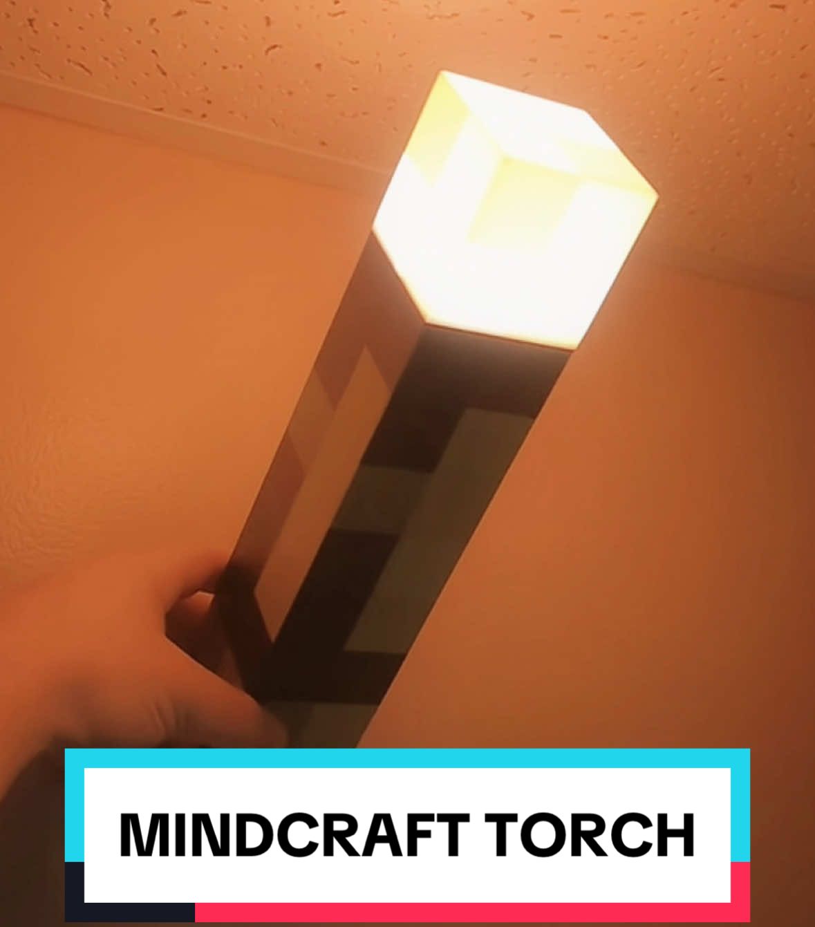 Replying to @Rex the goat of nightlights 🗿 #mindcraft #torch #aura #redstone #nostalgia #iamsteve #flintandsteel #tiktokshopbacktoschool 