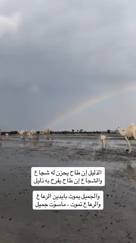 #شعراء_وذواقين_الشعر_الشعبي 